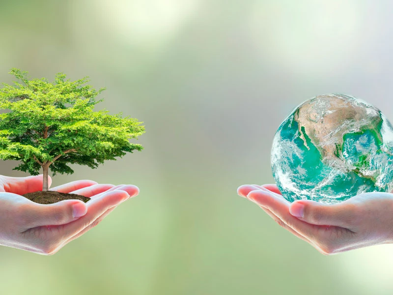 Bienestar ecológico